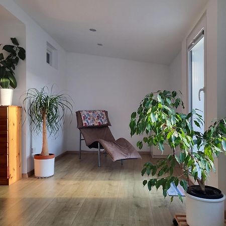 Bungalow In Messenaehe 하노버 외부 사진