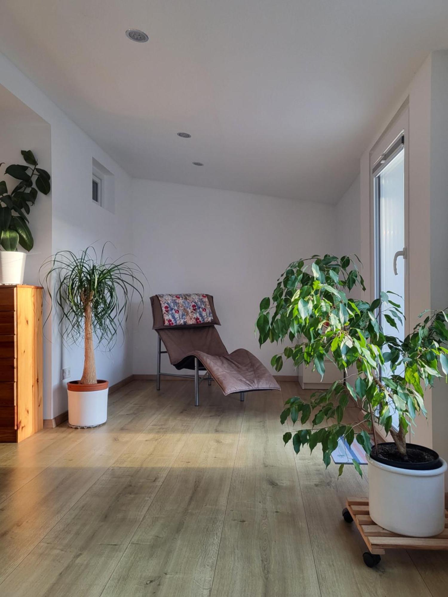 Bungalow In Messenaehe 하노버 외부 사진